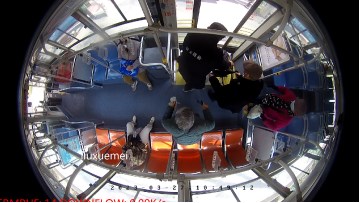 1679982213526.jpg 1679982213526.jpg